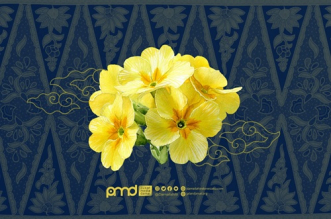 Kembang Sore: Antara Tuhan dan Kehidupan