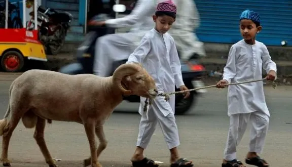Anak Membawa Hewan Qurban 20131013 223346