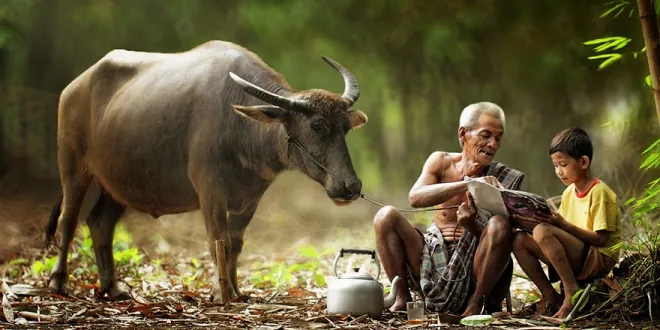 Village Life Indonesia Herman Damar 4