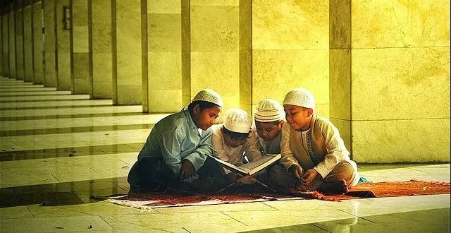 10492604 10152085117632504 3722849036075940752 N