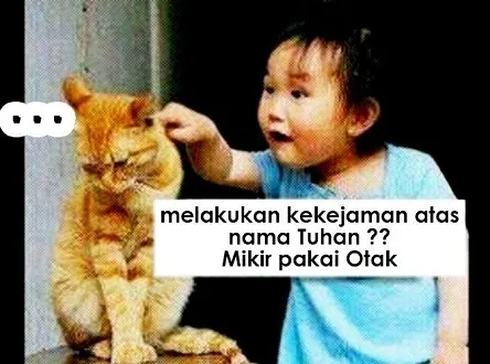 Kucing