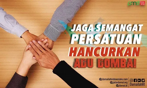 Adu Domba3