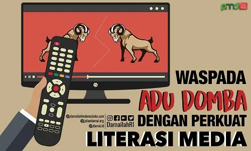 Adu Domba8