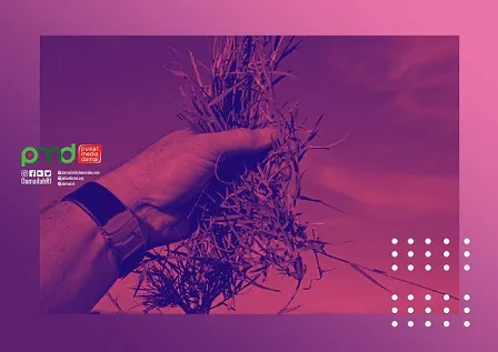 UU Desa dan Radikalisme di Akar Rumput