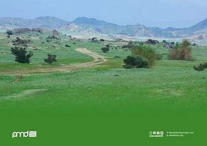 Hijaunya Tanah Arab sebagai Tanda Kiamat dan Perlu Khilafah?