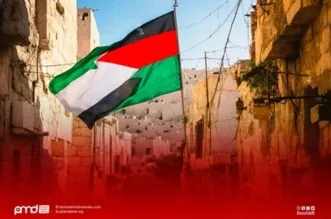 Membaca Sinergi Ulama dan Umara dalam Memandang Isu Palestina