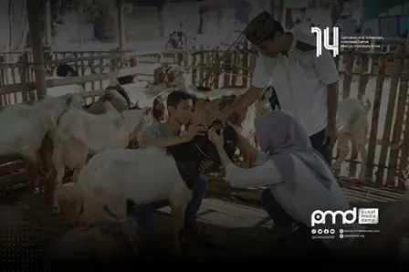 Substansi Idul Qurban: Kebenaran Iman Tak Akan Melukai Siapa-pun