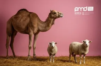 Refleksi Hari Raya Qurban: Menyembelih Fanatisme dan Ananiah dalam Diri