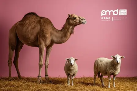 Refleksi Hari Raya Qurban: Menyembelih Fanatisme dan Ananiah dalam Diri