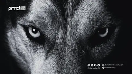 Mutasi Sel Teroris di Tengah Kondisi Zero Attack; Dari Faksionalisme ke Lone Wolf